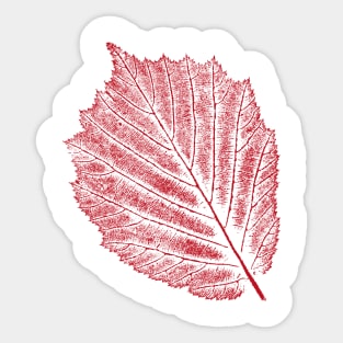 Hazelnut Leaf Imprint Sticker